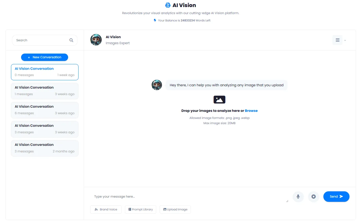 AI vision chat interface with image upload for analysis